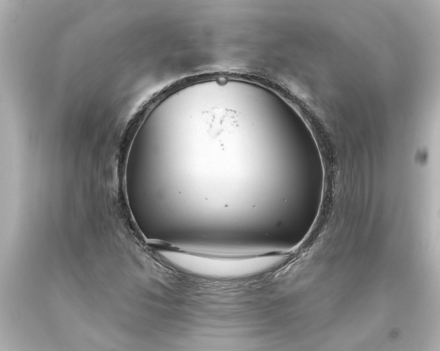 X0000093561214200710291012