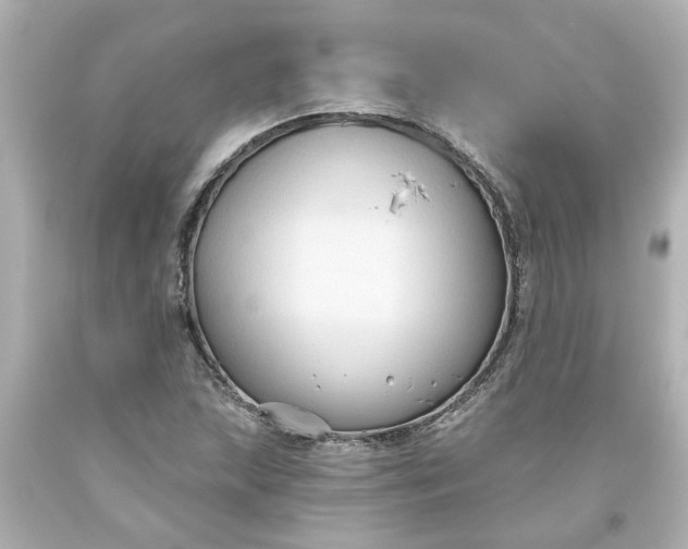 X0000093561215200710291012