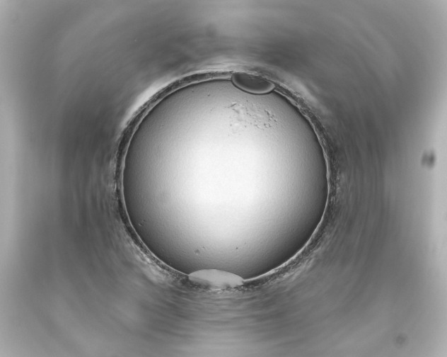 X0000093561216200710291012