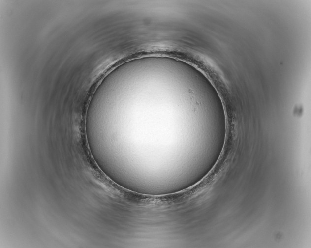 X0000093561217200710291012