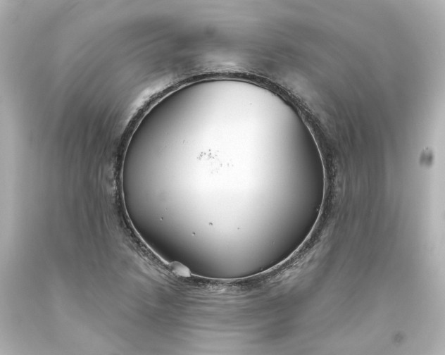 X0000093561218200710291012