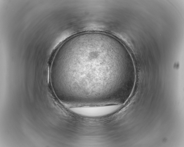 X0000093561219200710291012