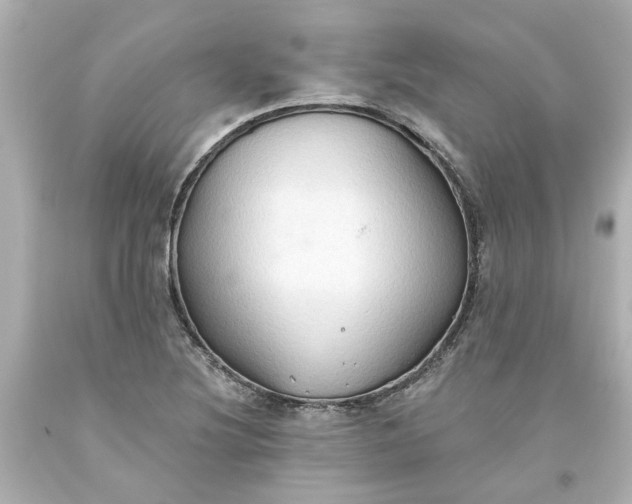 X0000093561220200710291012