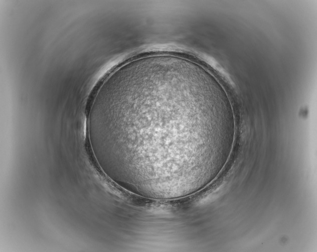 X0000093561221200710291012