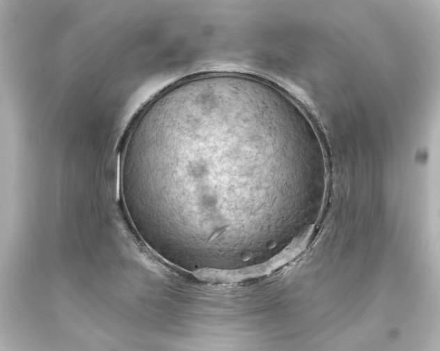 X0000093561223200710291012