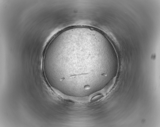 X0000093561224200710291012