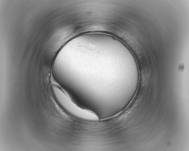 X0000093561225200710291012