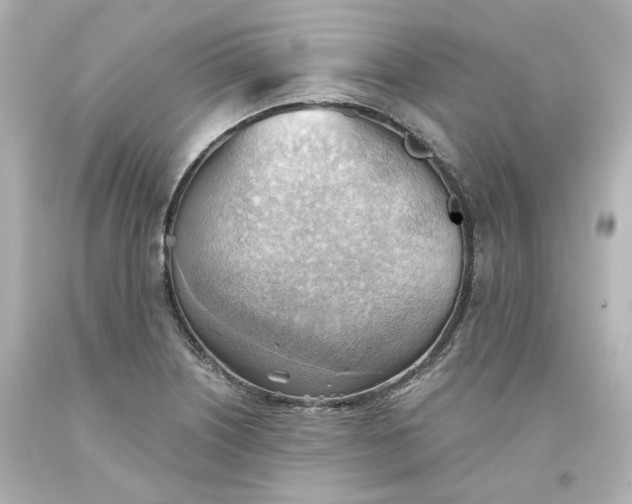 X0000093561226200710291012