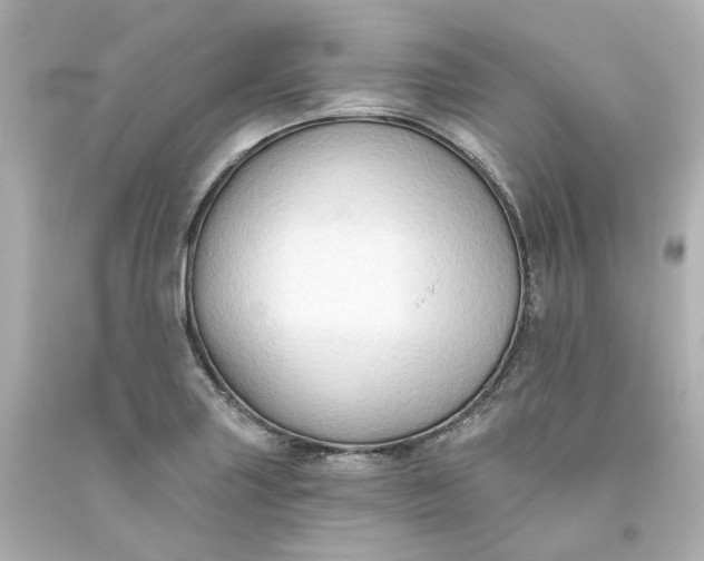 X0000093561227200710291012