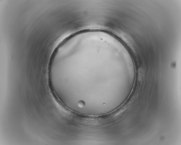 X0000093561229200710291012