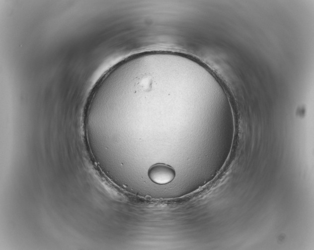 X0000093561230200710291012