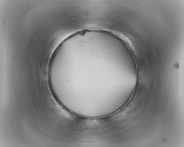 X0000093561231200710291012