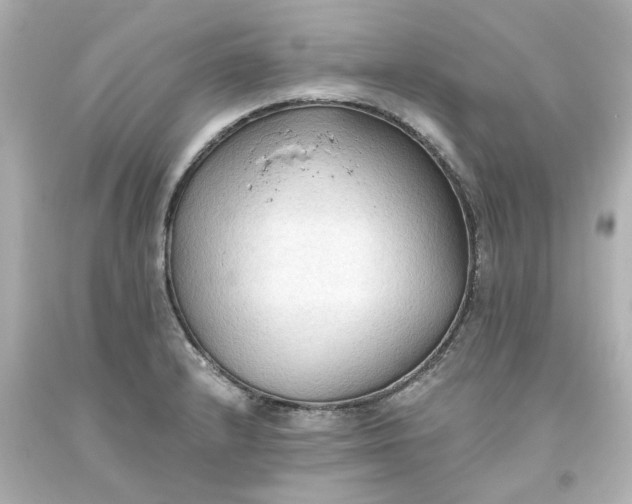 X0000093561232200710291012