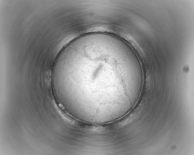 X0000093561233200710291012