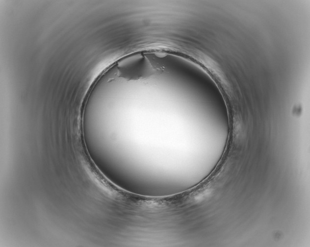 X0000093561234200710291012