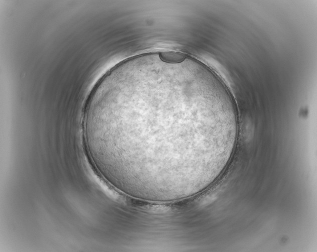 X0000093561235200710291012