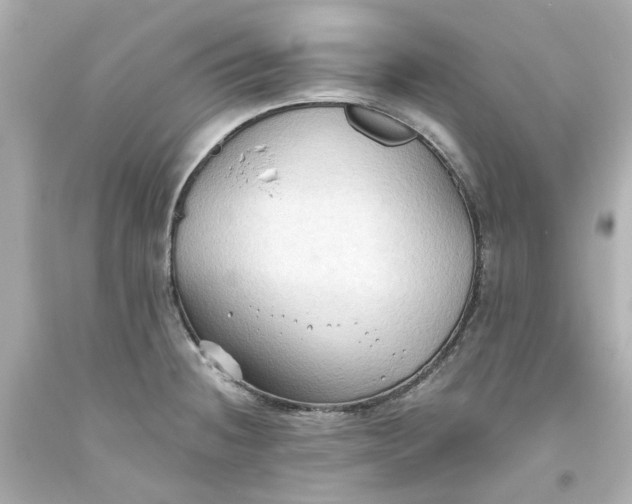 X0000093561236200710291012