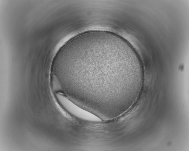 X0000093561237200710291012