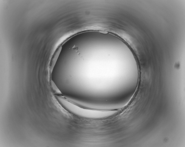 X0000093561238200710291012