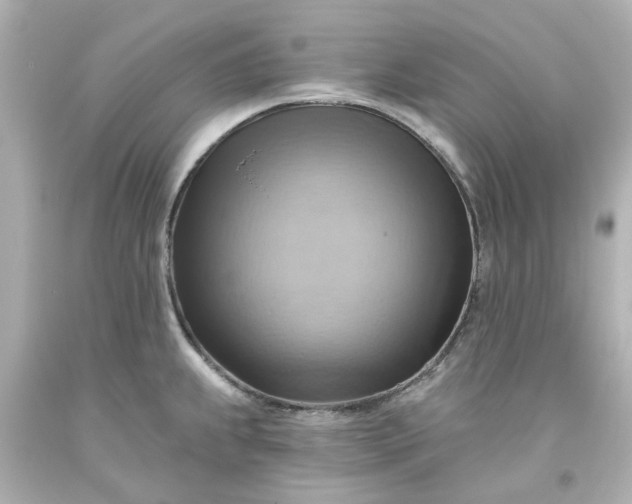 X0000093561239200710291012