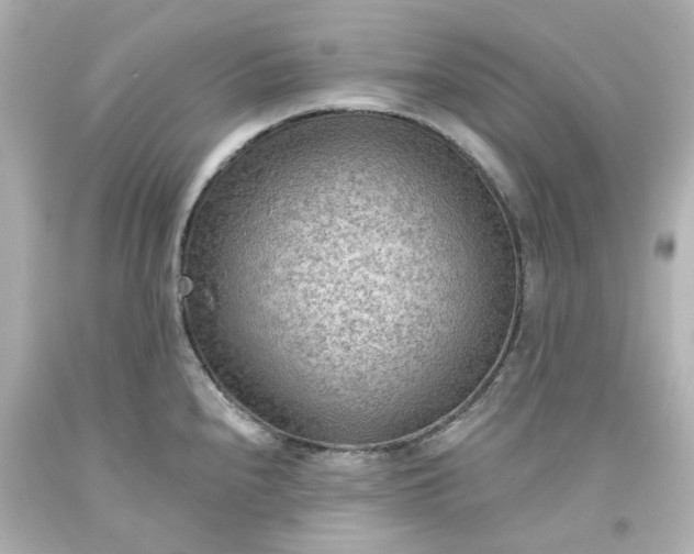 X0000093561240200710291012