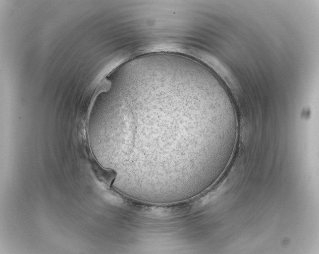 X0000093561241200710291012