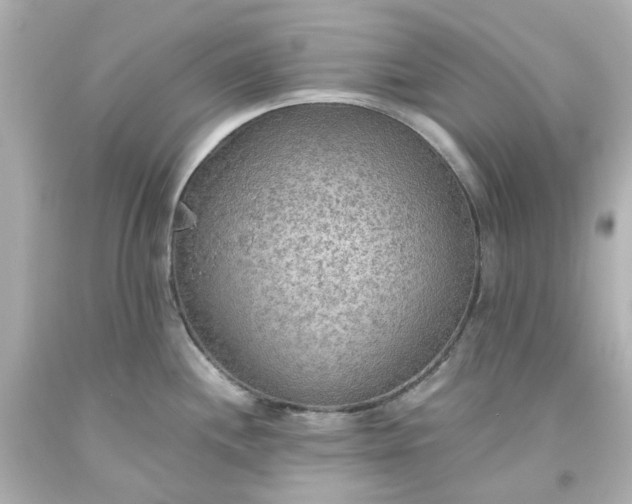 X0000093561244200710291012