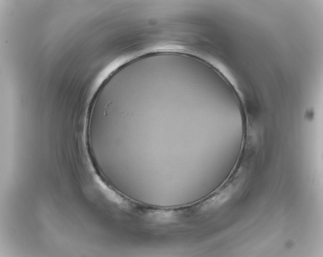 X0000093561245200710291012