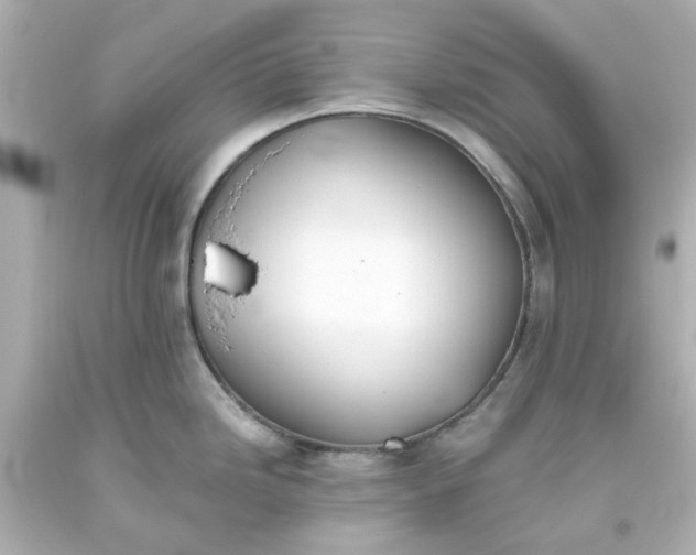 X0000093561246200710291012