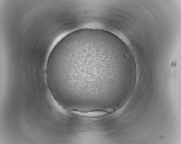 X0000093561248200710291012