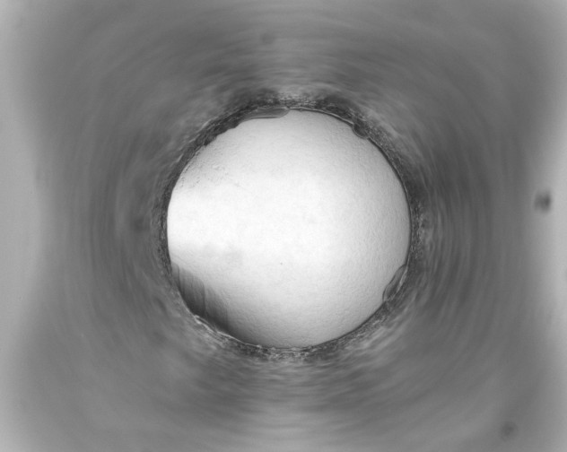 X0000093561249200710291012