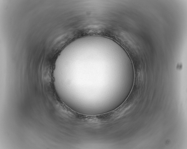 X0000093561250200710291012