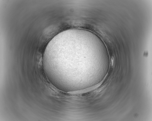 X0000093561251200710291012