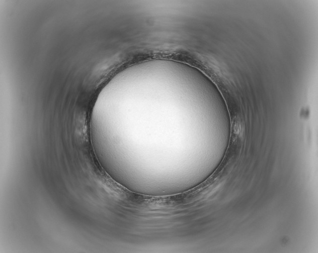 X0000093561252200710291012