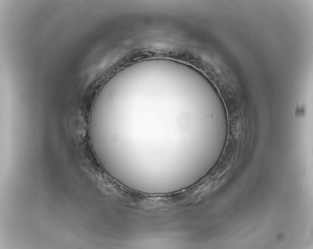 X0000093561253200710291012