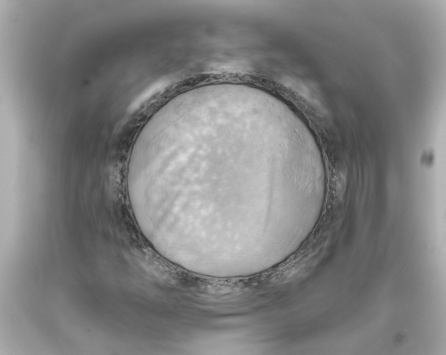 X0000093561254200710291012