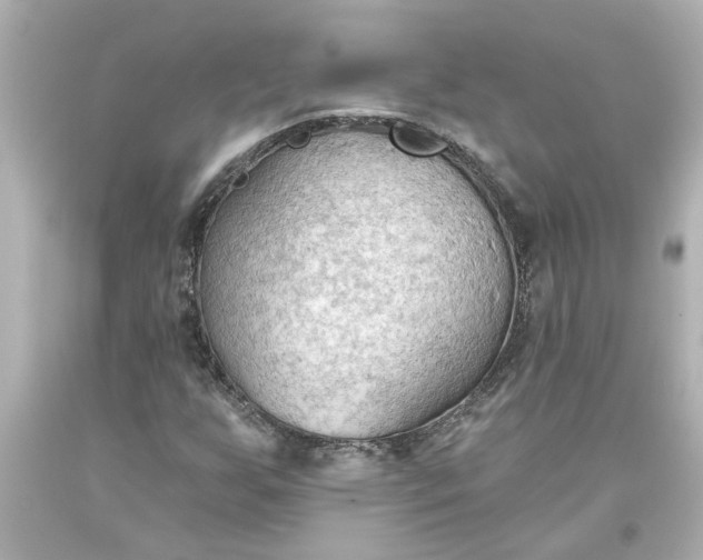 X0000093561255200710291012