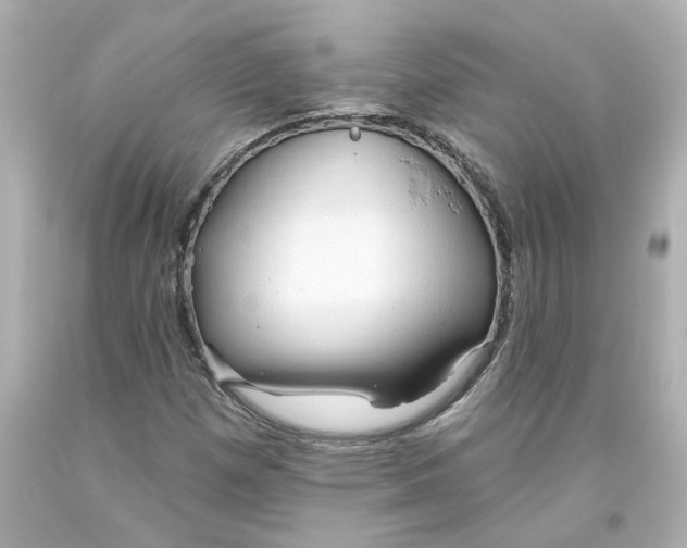 X0000093561257200710291011