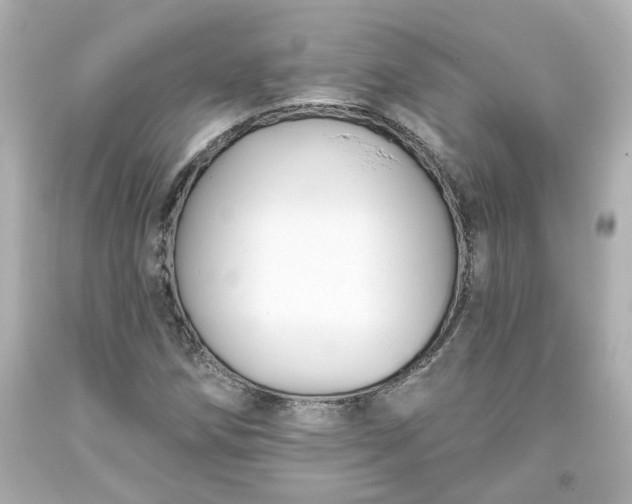 X0000093561258200710291011