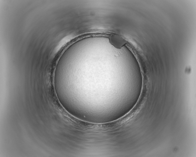 X0000093561259200710291011