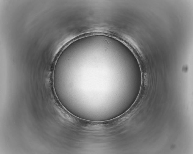 X0000093561260200710291011