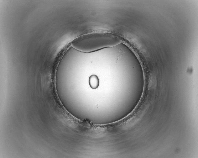 X0000093561261200710291011