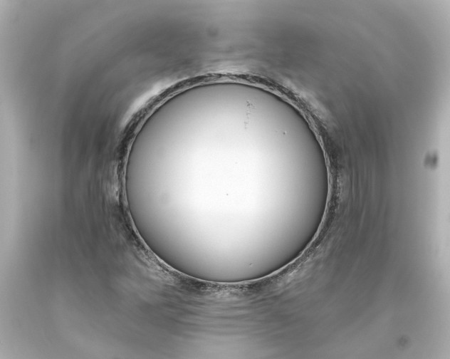 X0000093561262200710291011