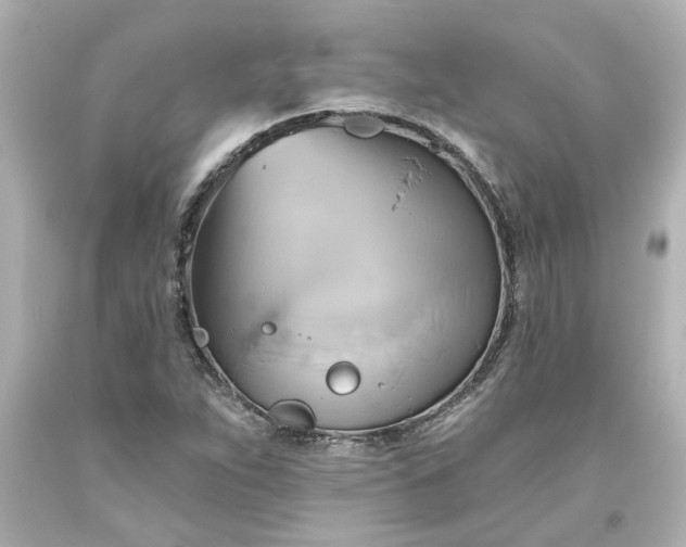 X0000093561263200710291011