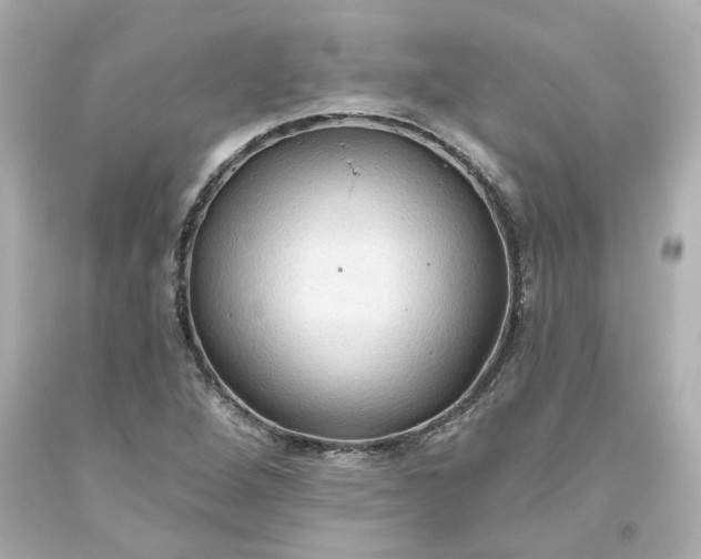 X0000093561264200710291011