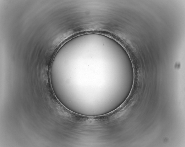 X0000093561265200710291011