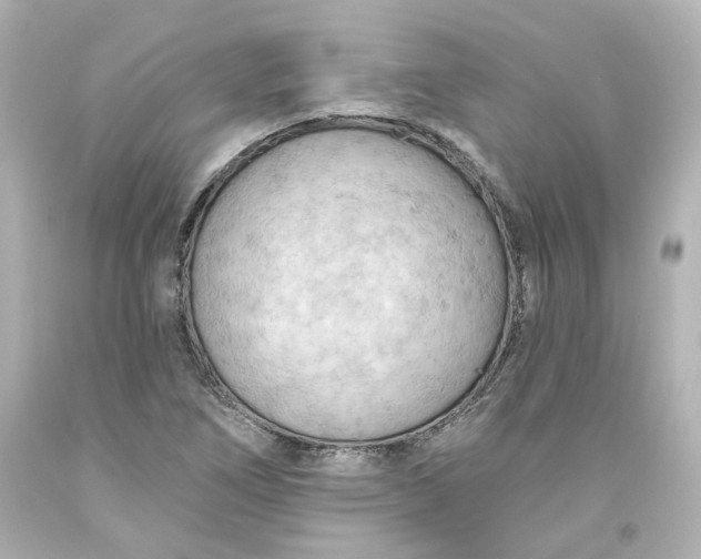 X0000093561266200710291011