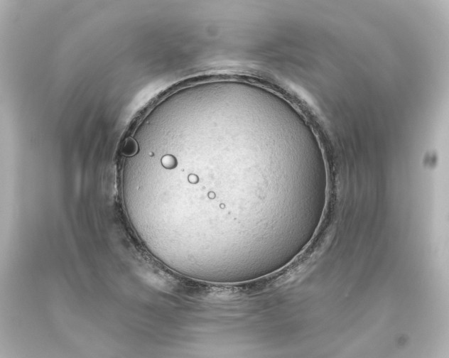 X0000093561267200710291011