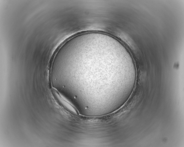 X0000093561268200710291011