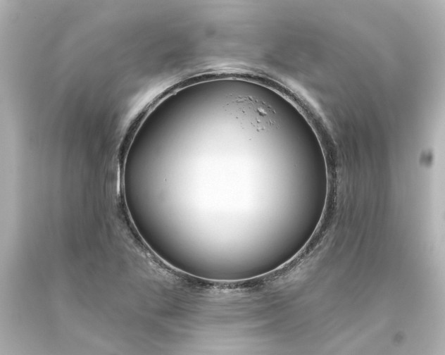 X0000093561269200710291011